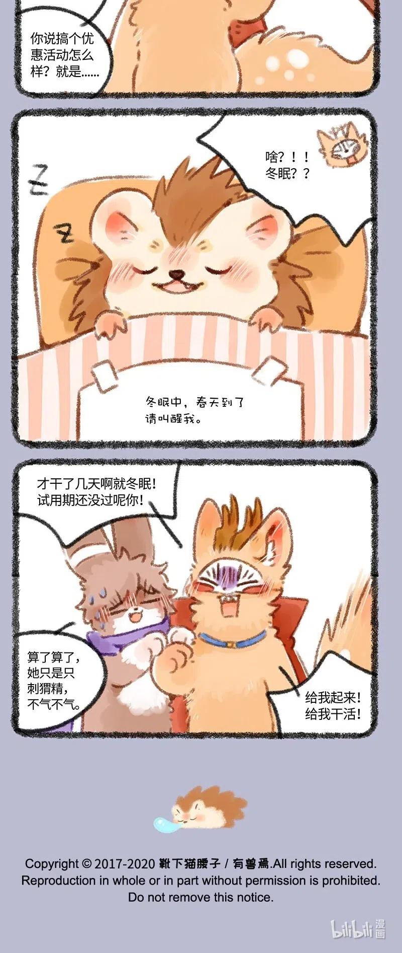 393 兜兜要冬眠2