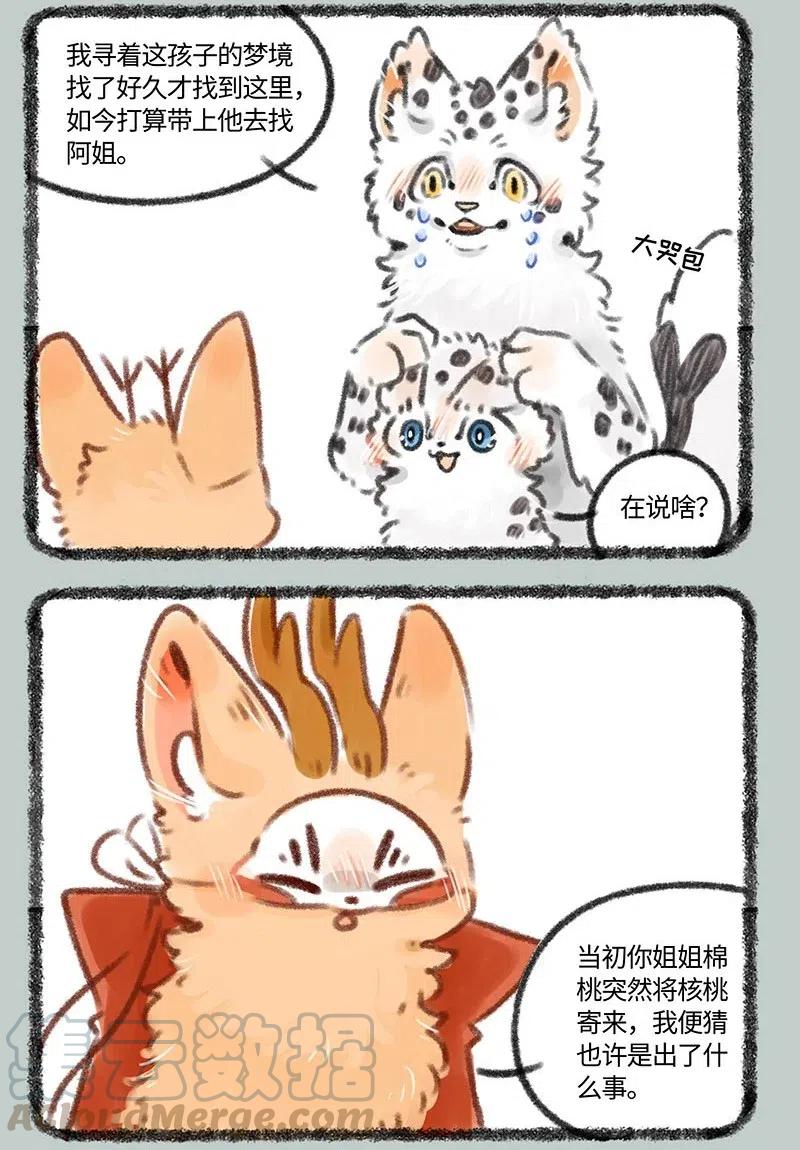 387 核桃要走了2