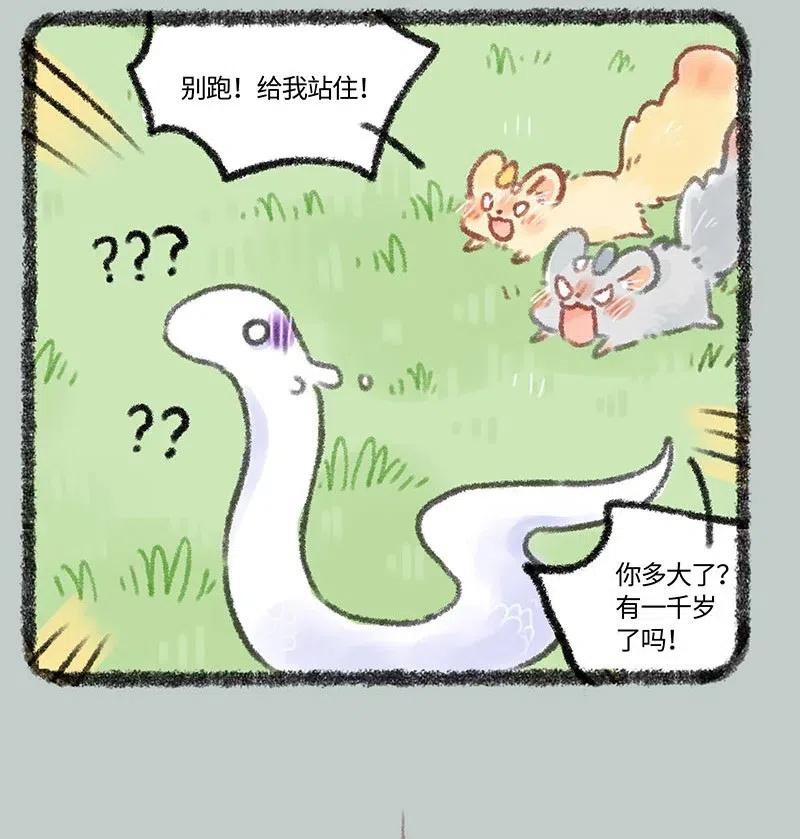 321 屡战屡败屡战3