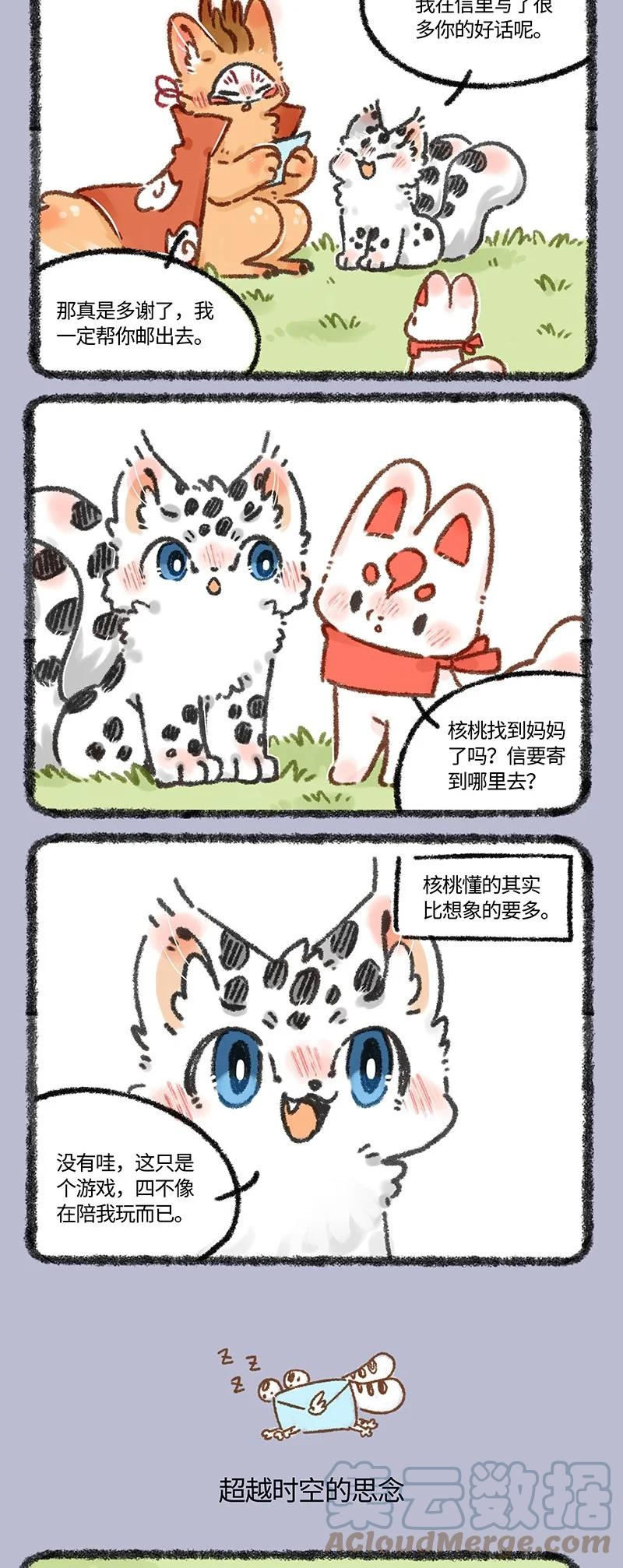 606 给妈妈的信0