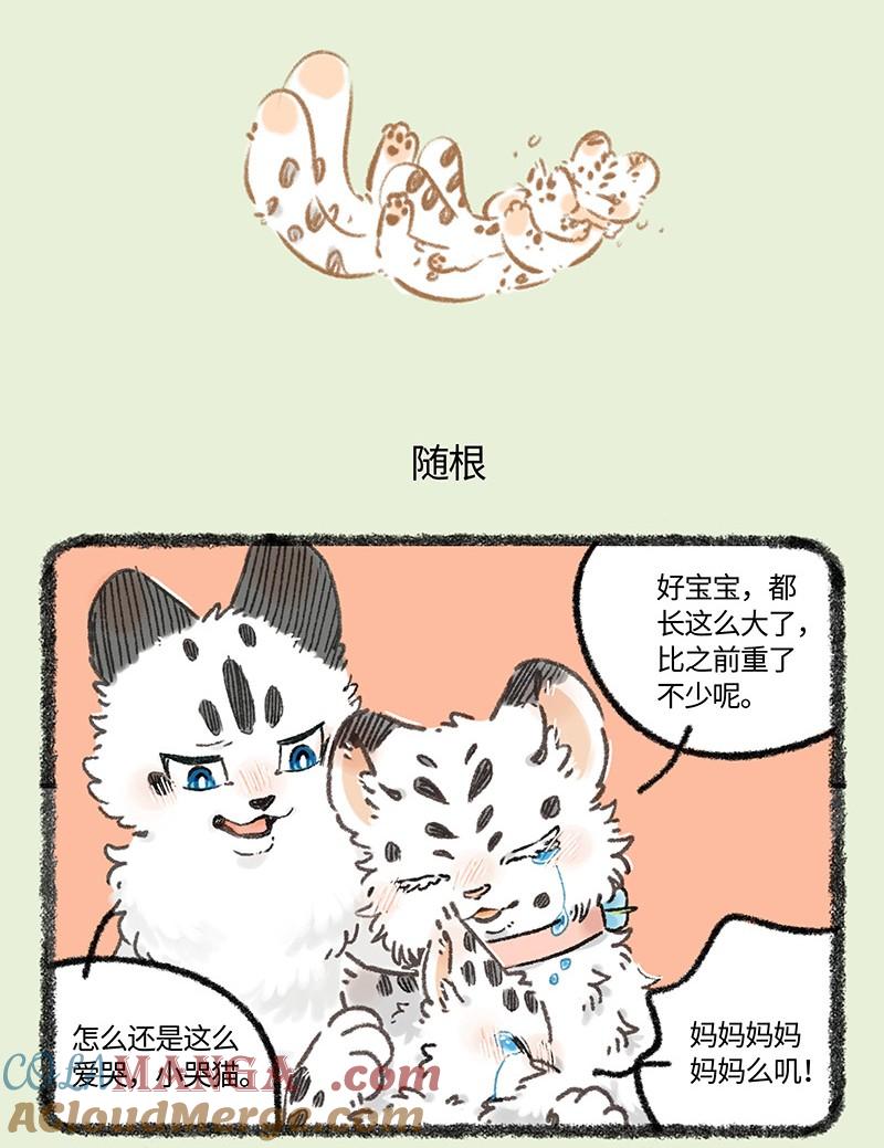 977 孟极篇之重逢4