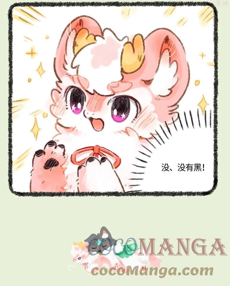 511 路边捡狗2