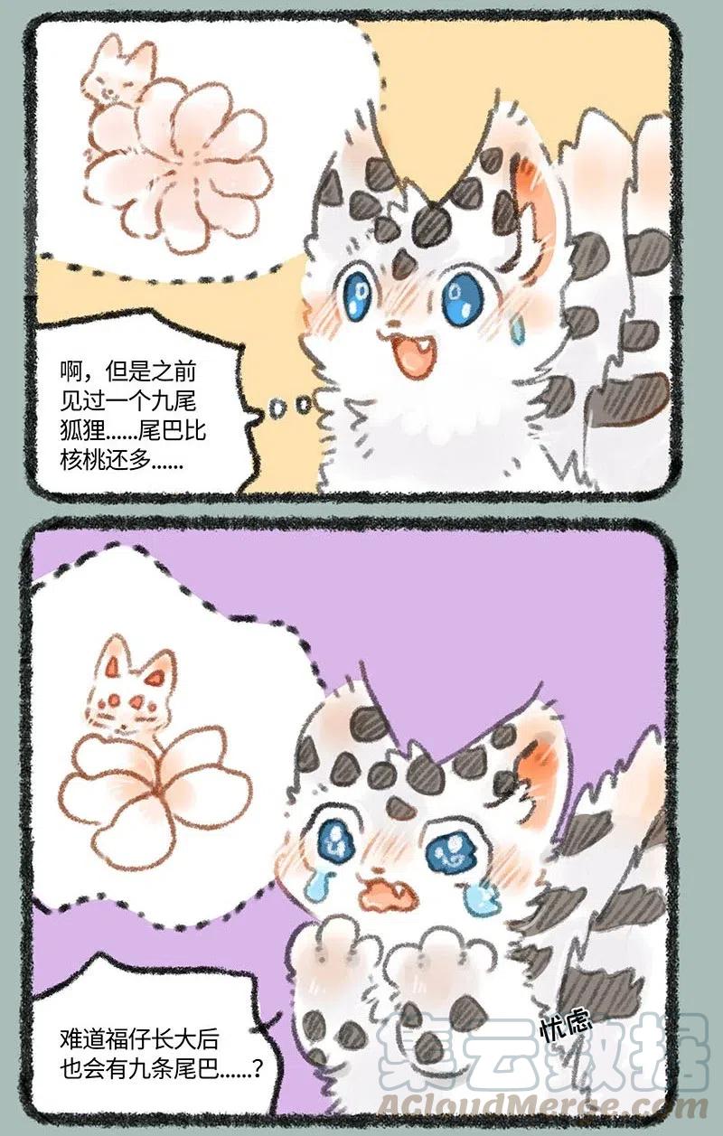 253 尾巴的功能1