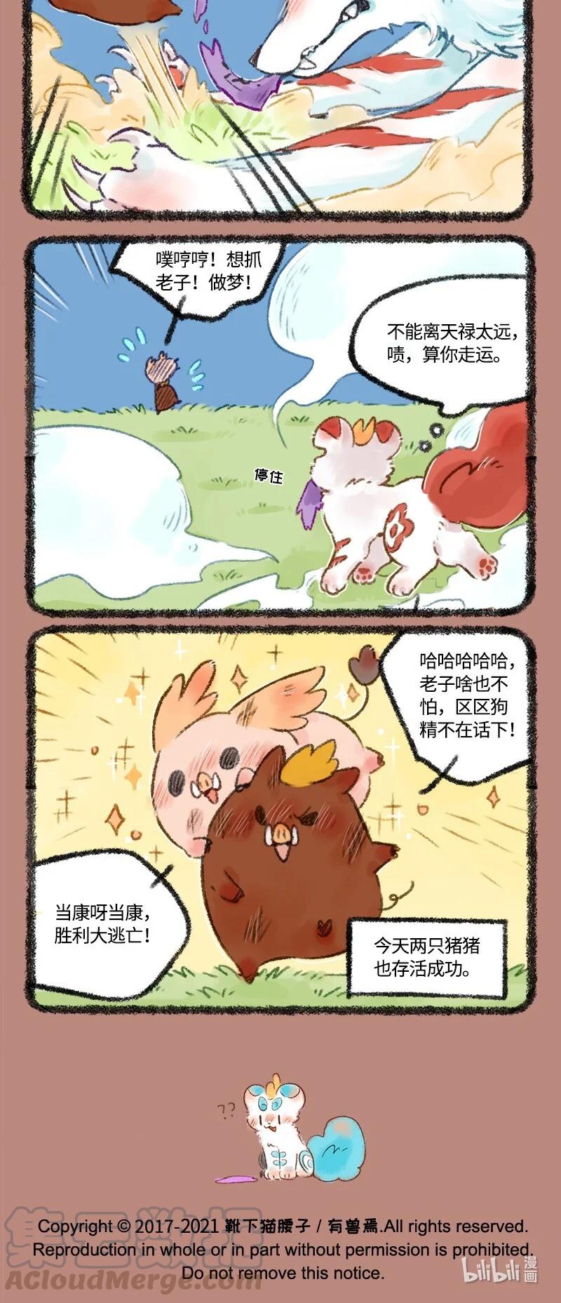 488 猪猪大逃亡3