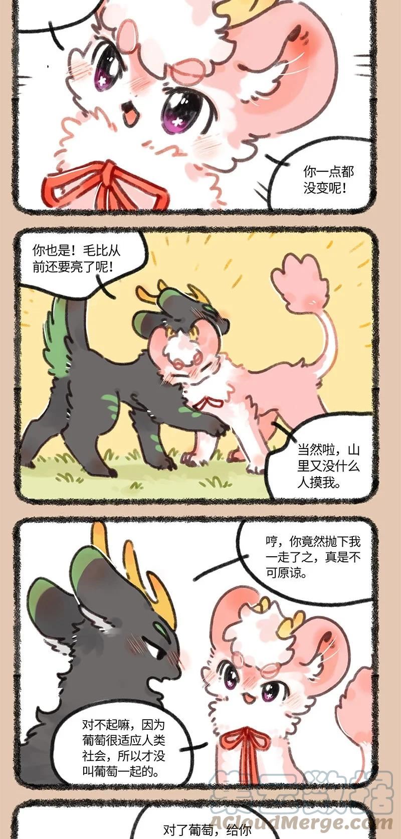 678 葡萄来啦0