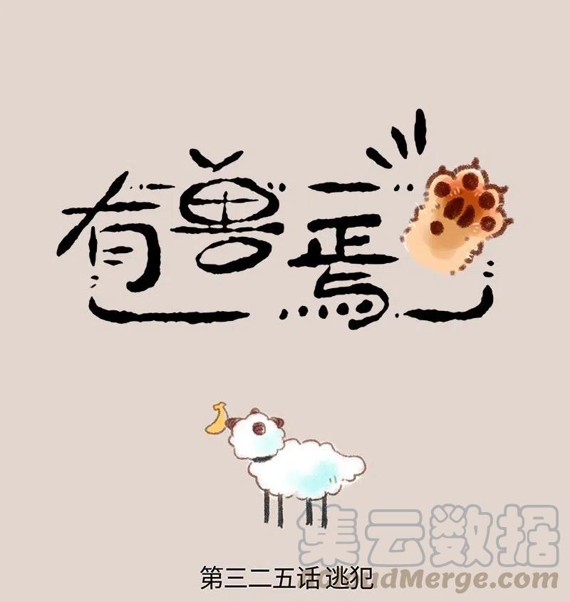 325 失物招领0