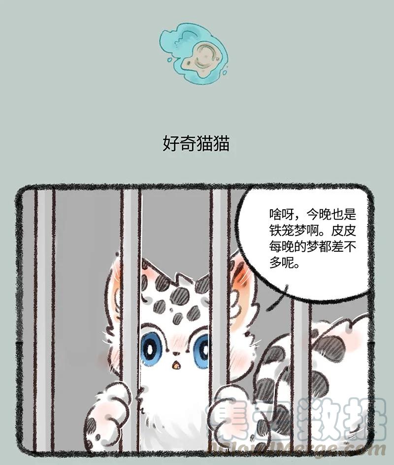 498 核桃的新能力3