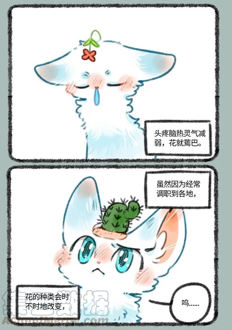 382 爱的舔舔3