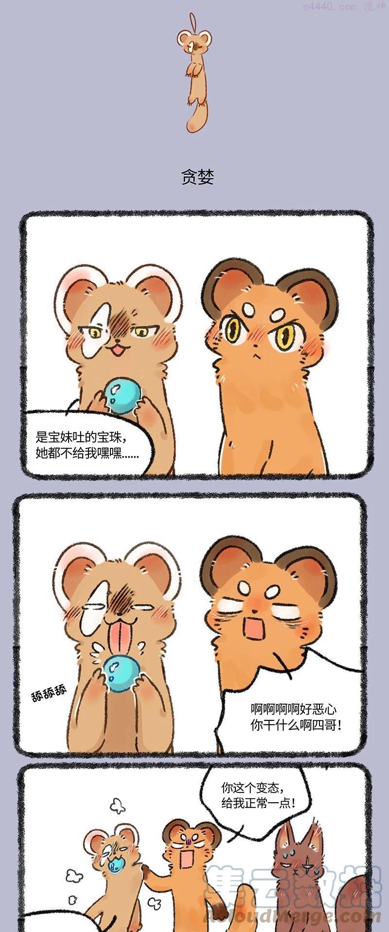 555 松鼠大哥拜师记1