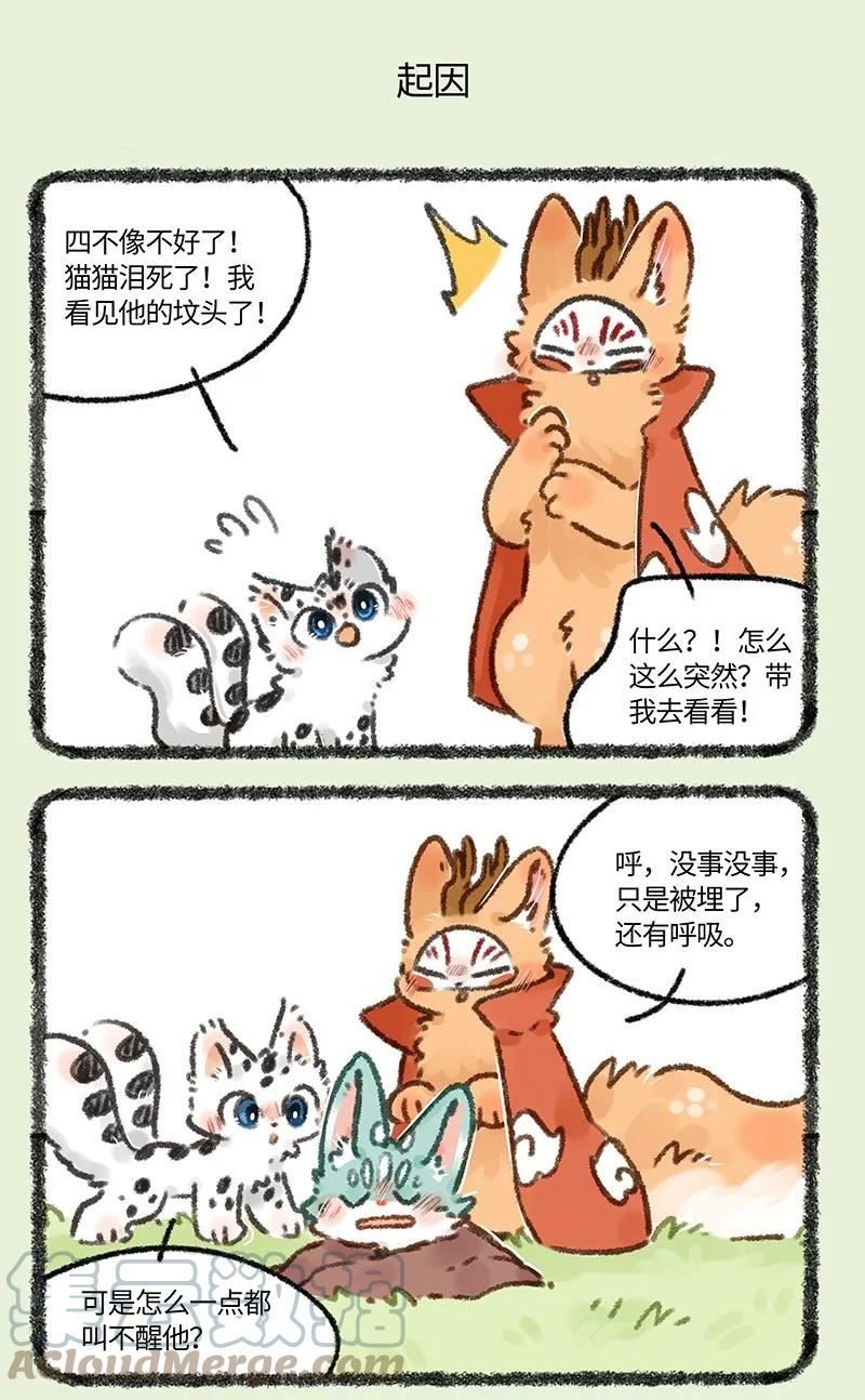 664 这种猫精埋了吧4