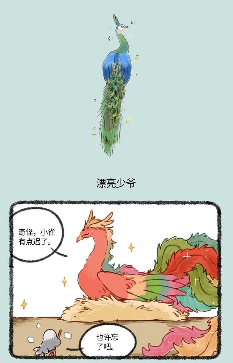 402 孔雀来访3