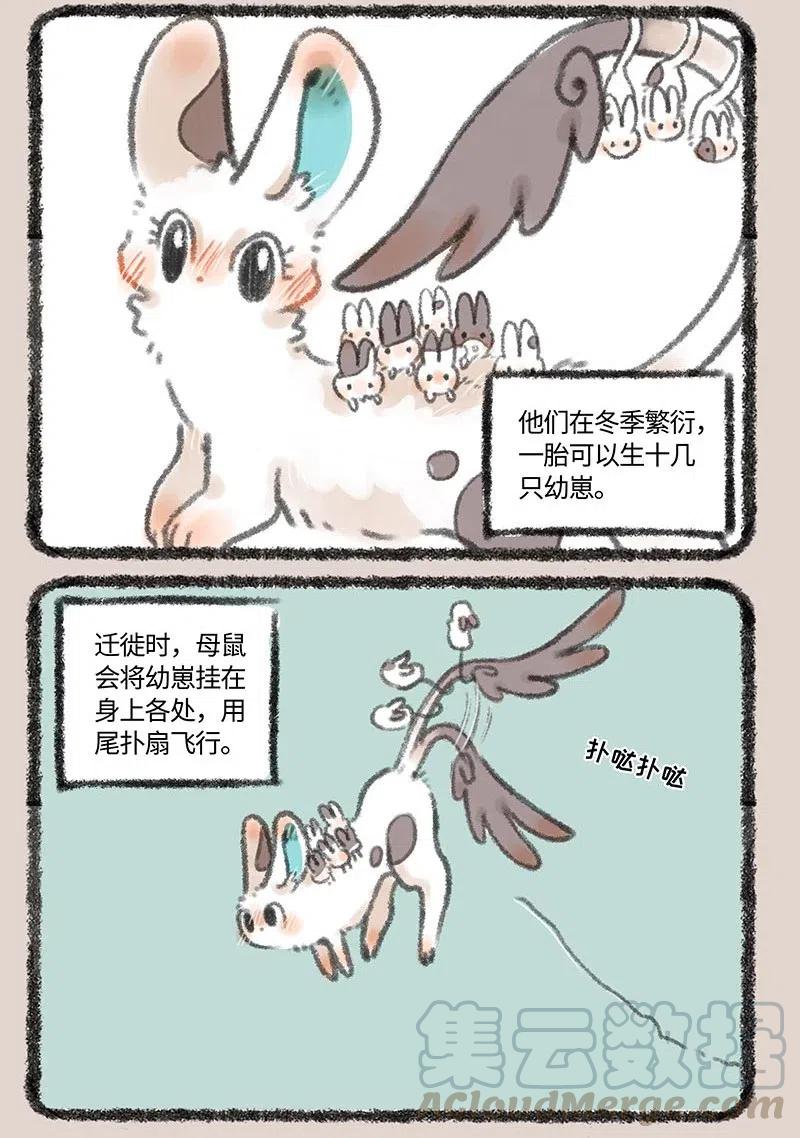 283 耳鼠2