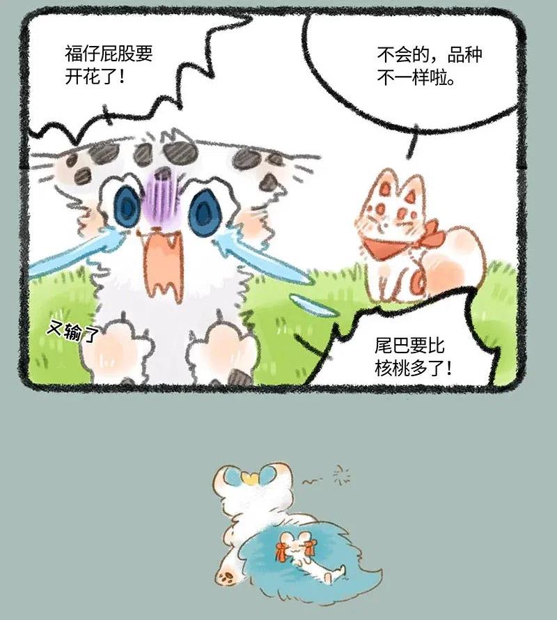 253 尾巴的功能2