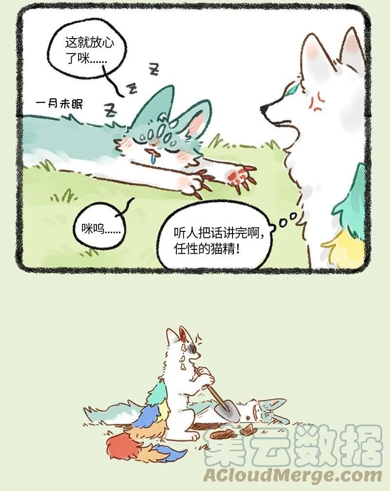 664 这种猫精埋了吧3