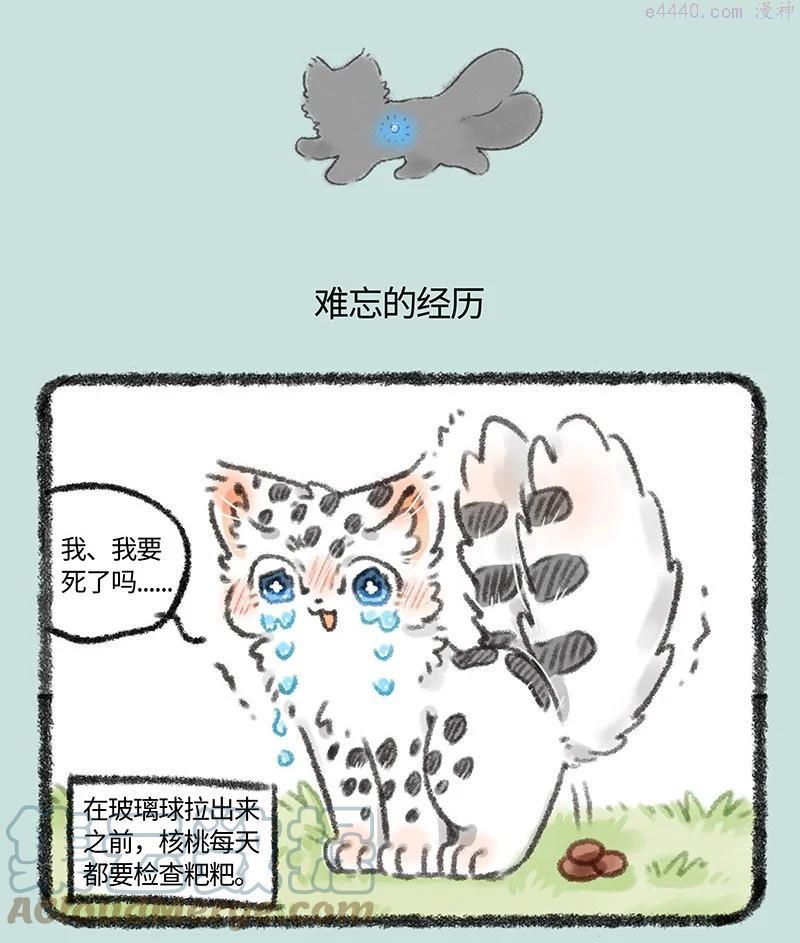 516 小朋友不要模仿哦2