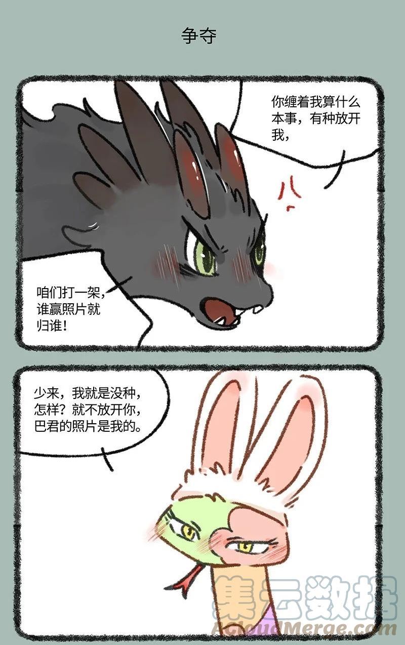 683 照片归属4