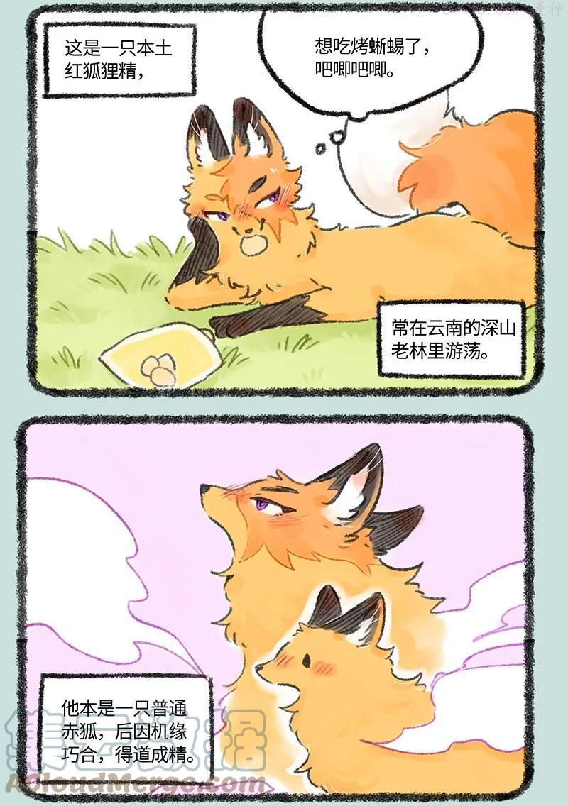 538 狐狸精登场1
