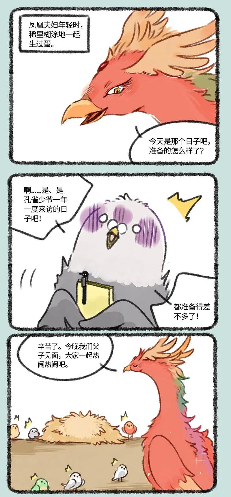 402 孔雀来访0