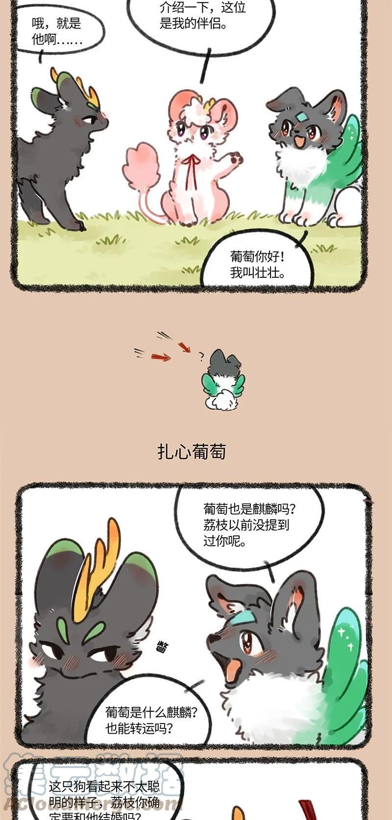 678 葡萄来啦1