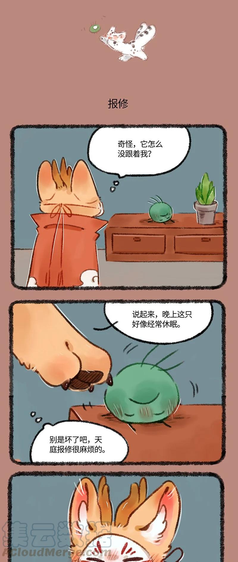 491 核桃立大功2