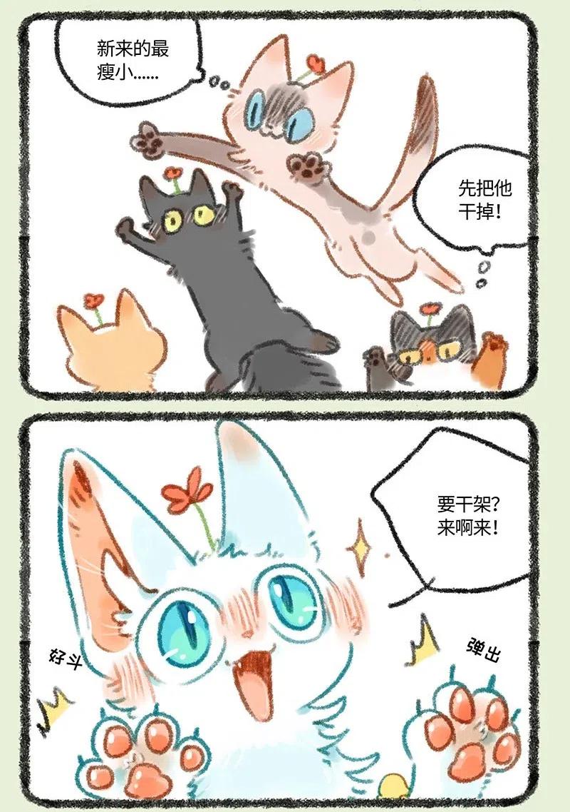 273 新来王者0