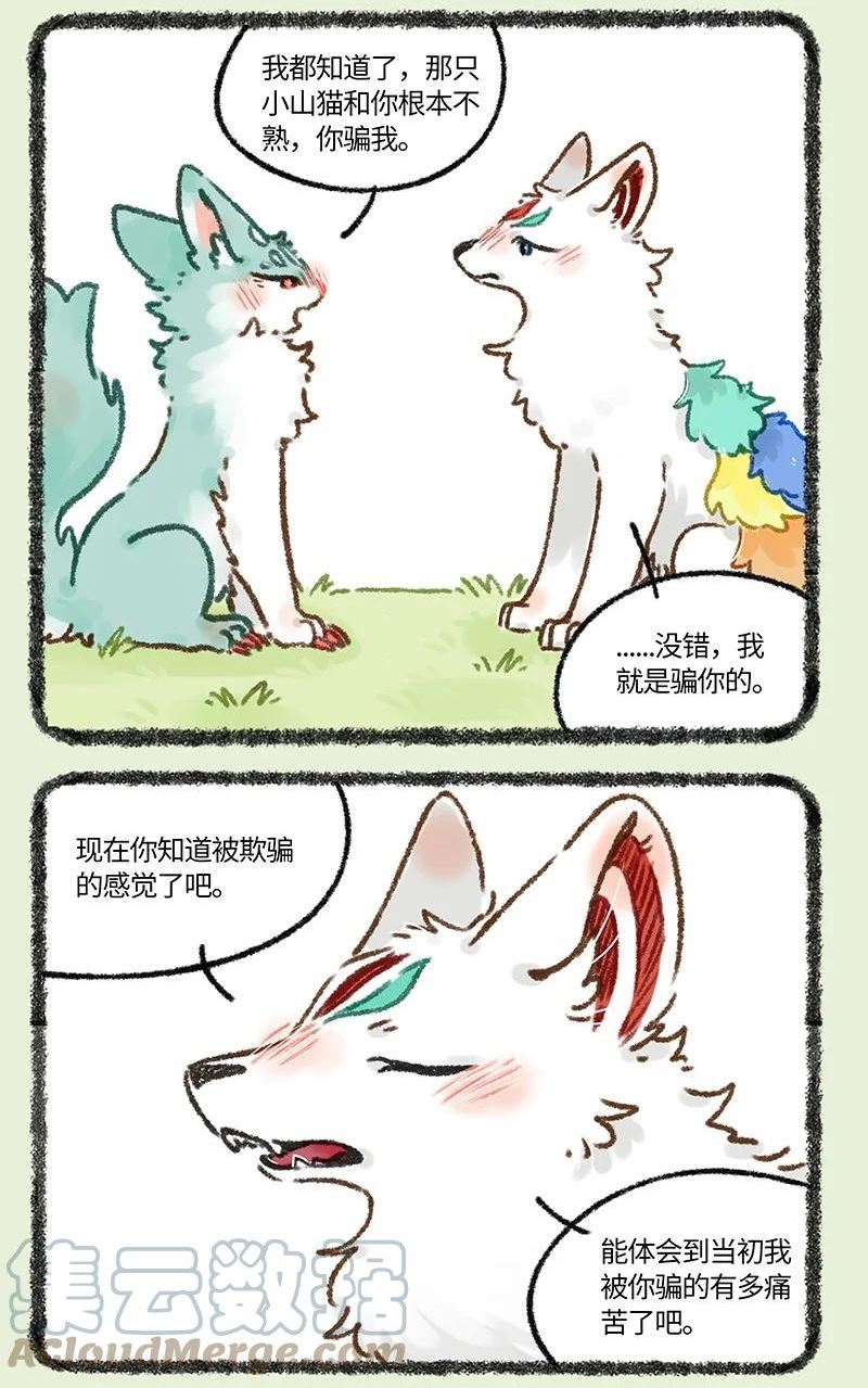664 这种猫精埋了吧1