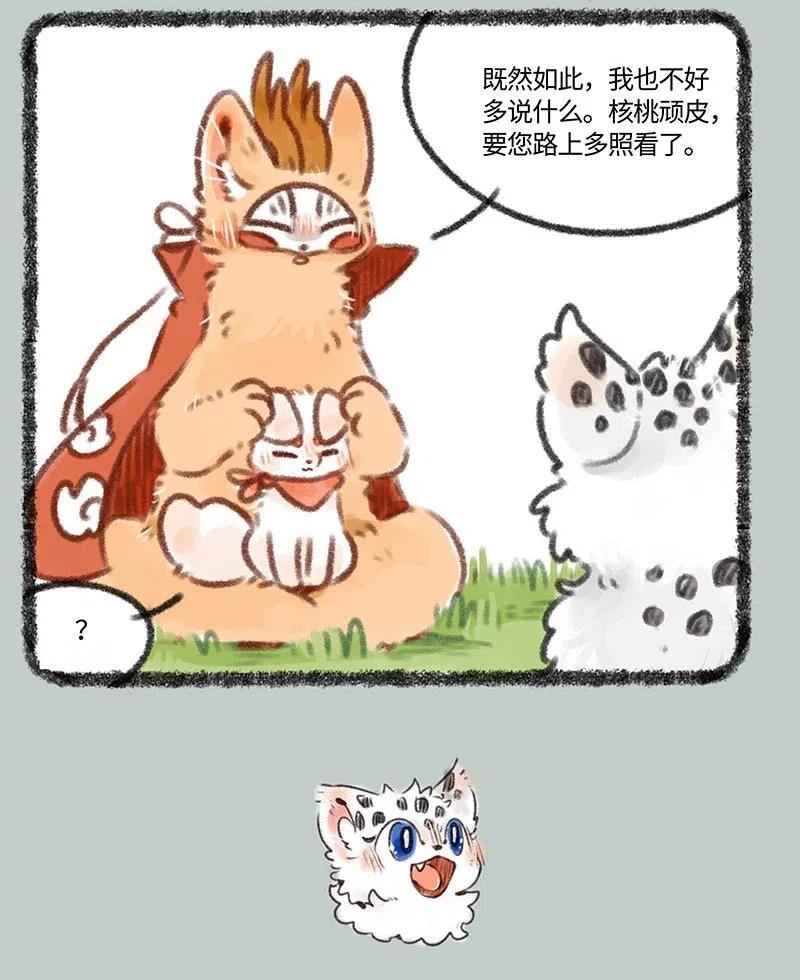 387 核桃要走了3