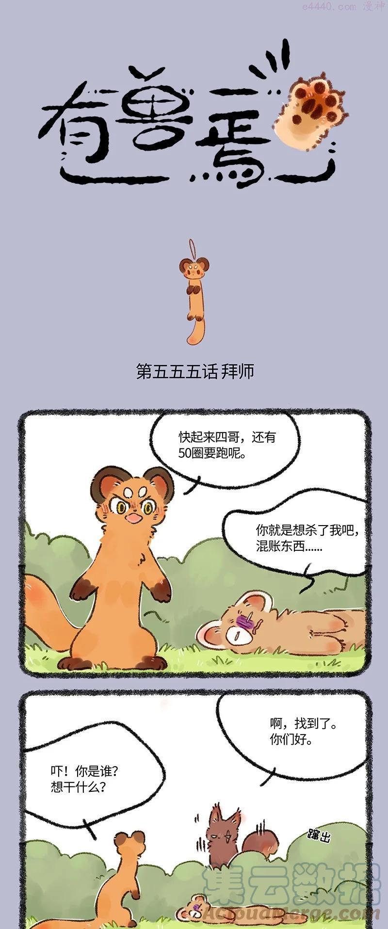 555 松鼠大哥拜师记0