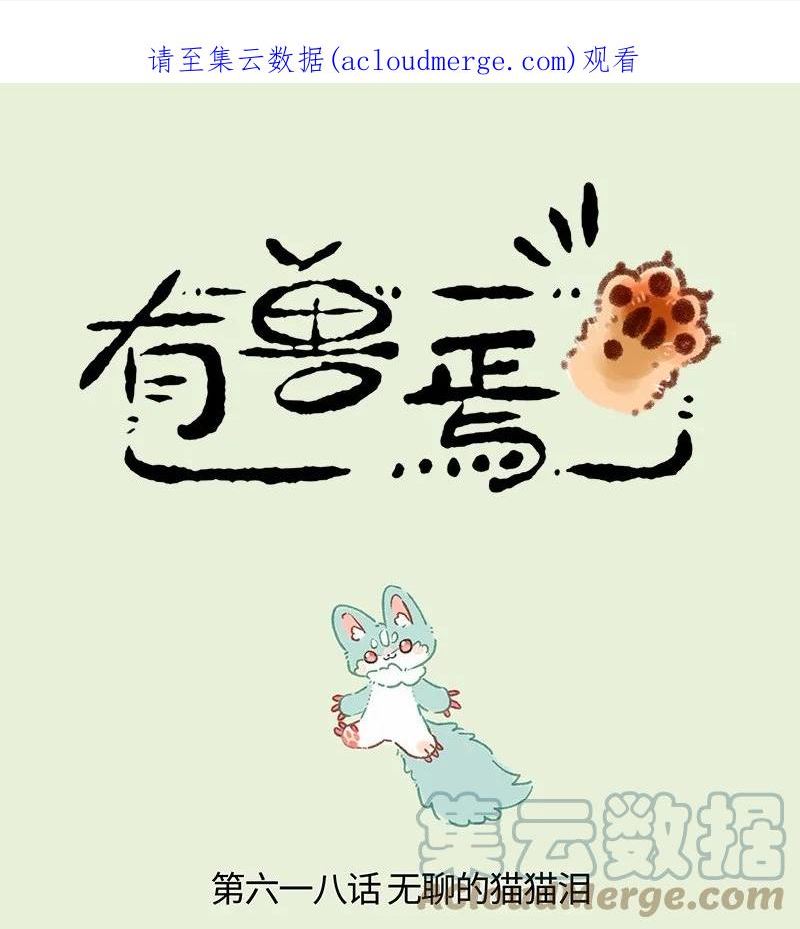 618 饥饿的猫猫类0