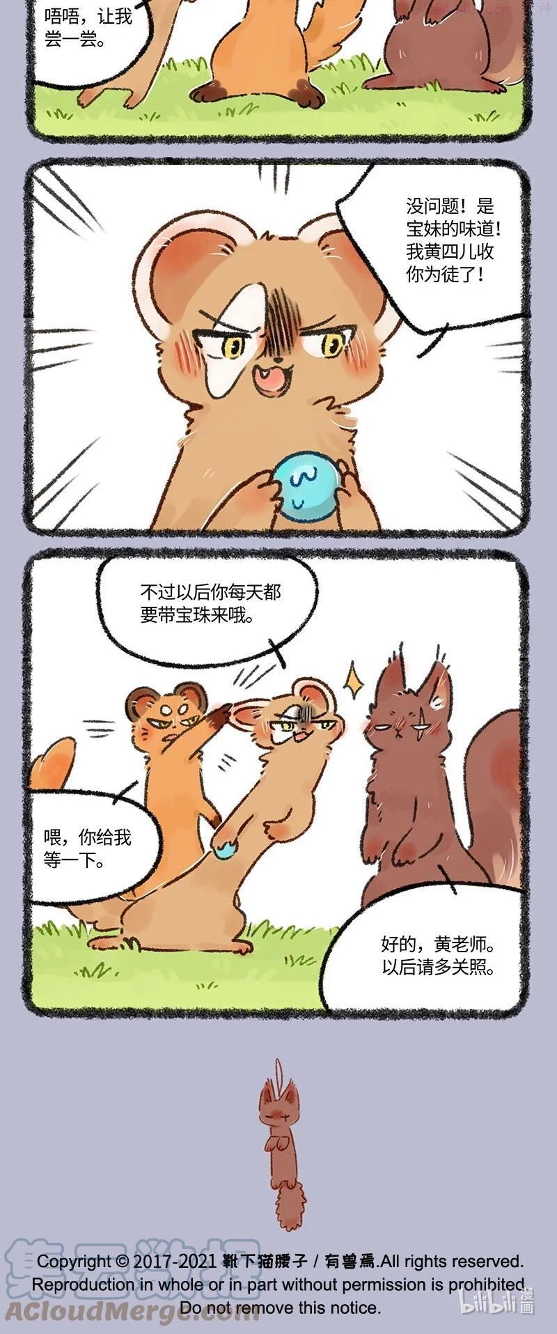 555 松鼠大哥拜师记2