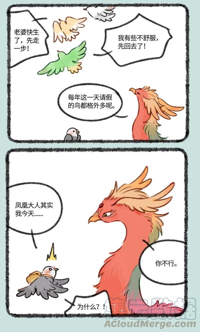 402 孔雀来访1