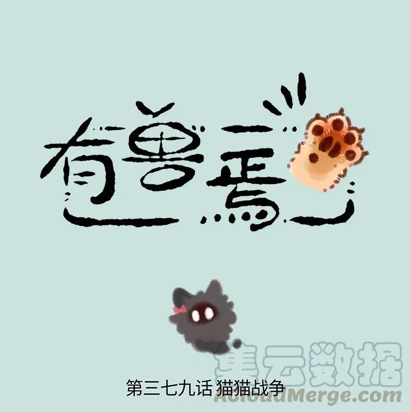 379 猫猫战争0