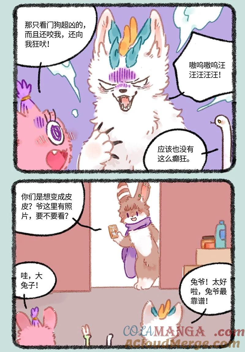 968 美美皮登场4