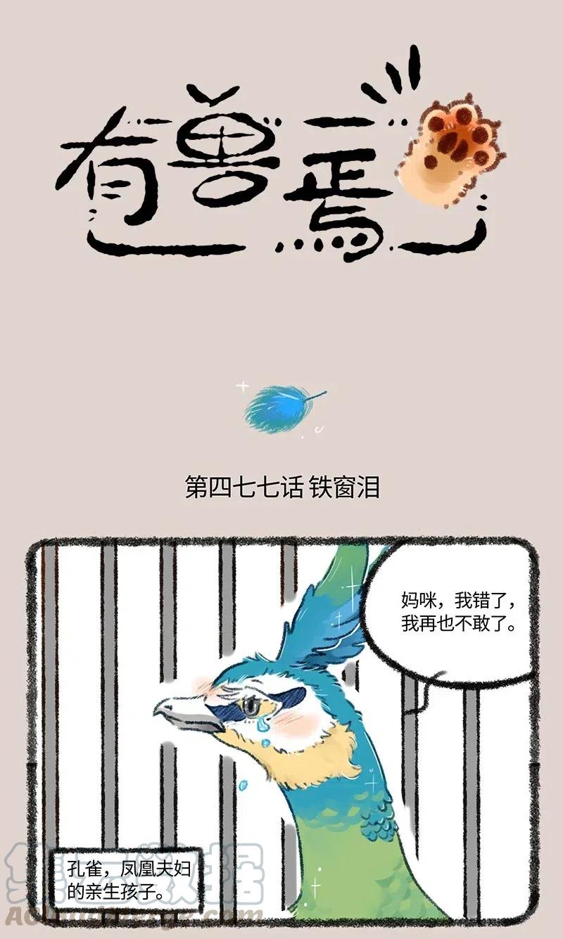 477 送给爸爸的礼物0