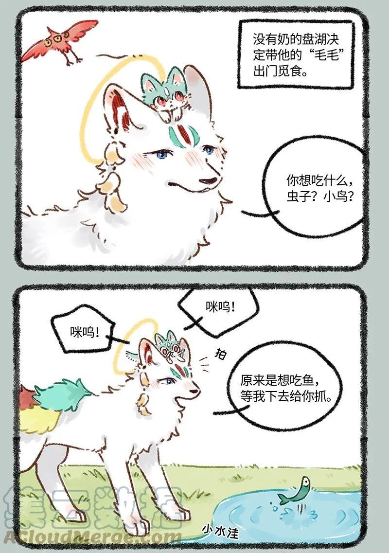 626 毛毛的成长日记1