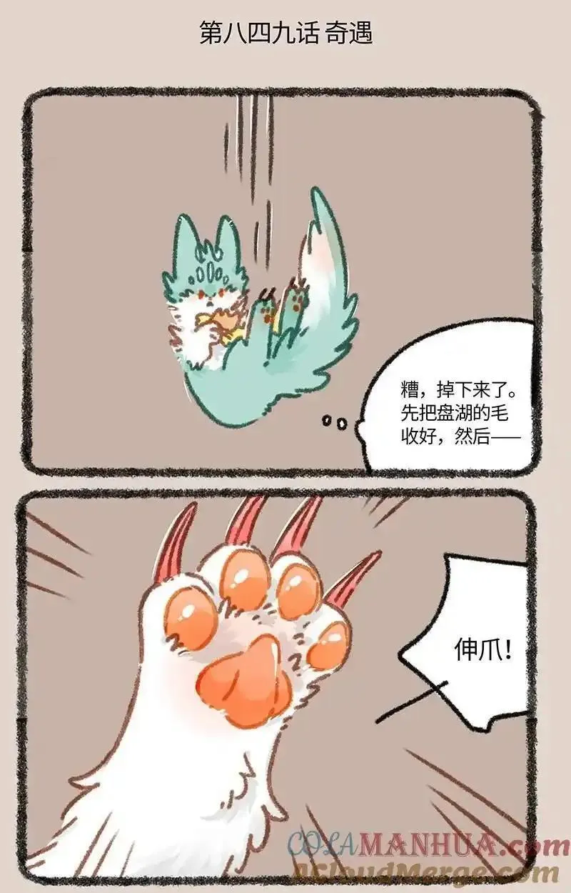 849 坠崖奇遇0