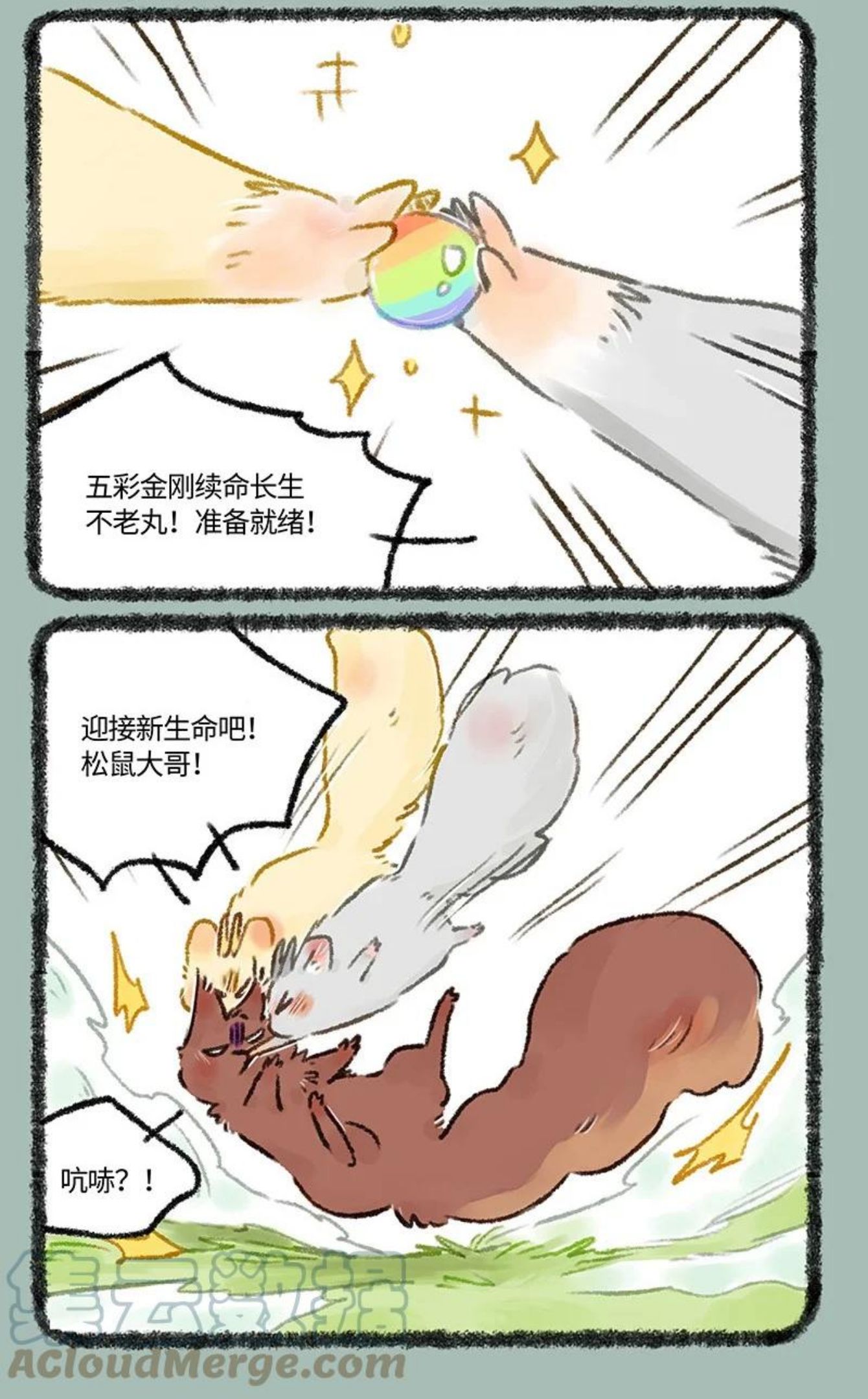 576 归来吧！金角银角1