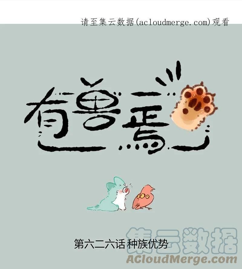 626 毛毛的成长日记0