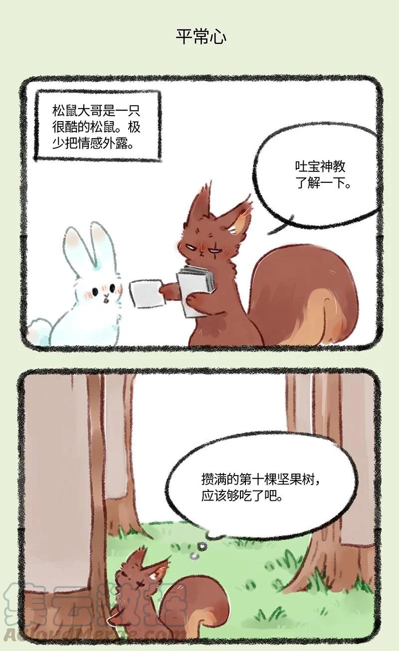 493 松鼠大哥的近况4