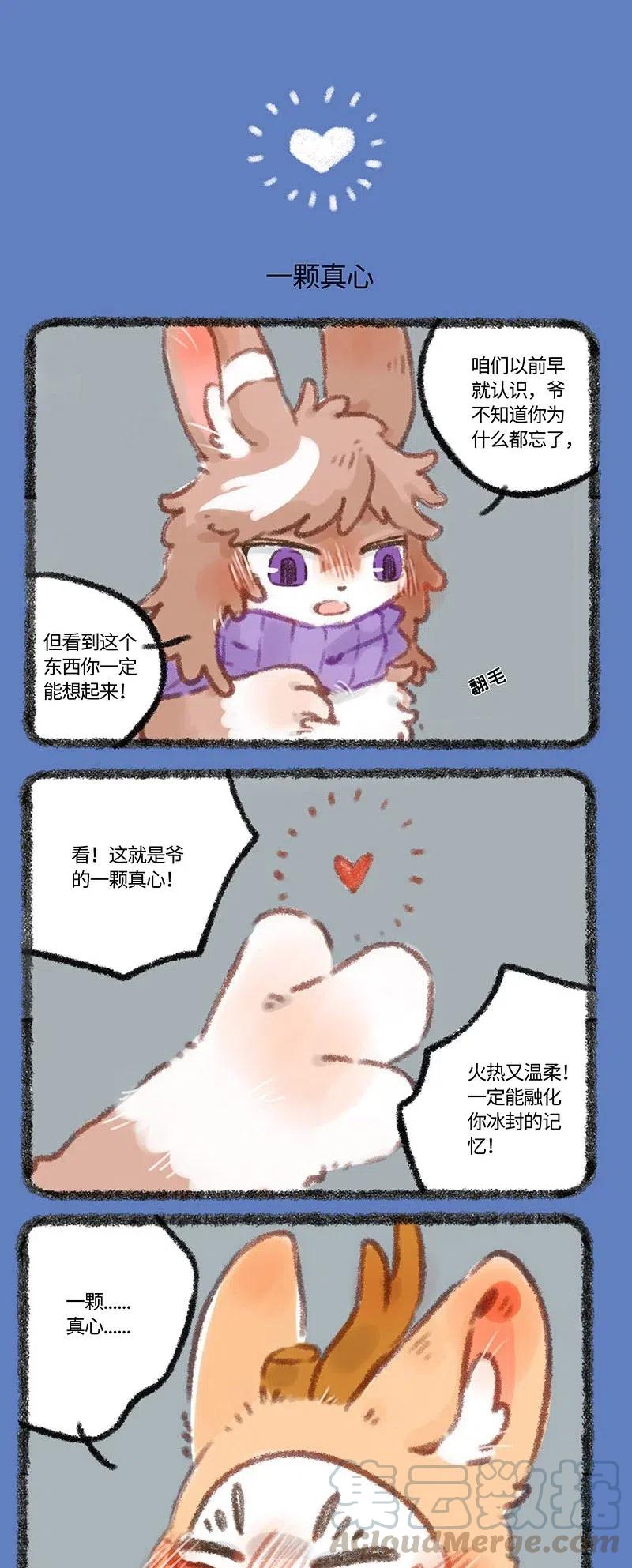 310 兔爷的真心2