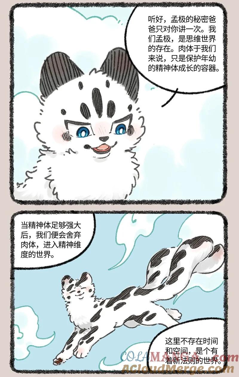 978 孟极篇之短暂的团聚3
