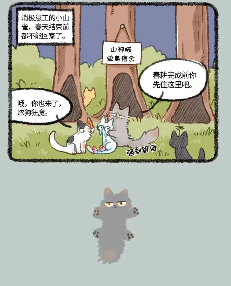 439 被迫分居3