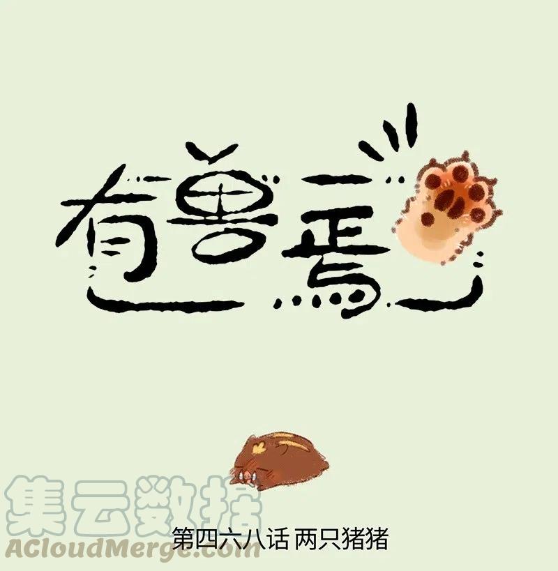 468 当康的气势0