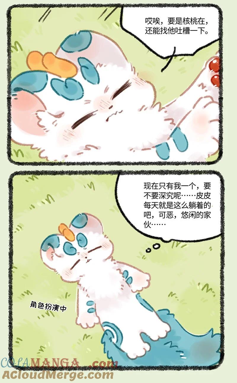 969 美美皮的任务3
