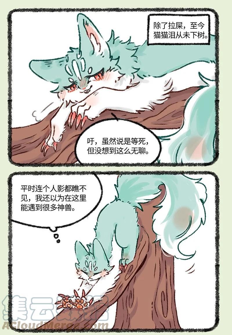 618 饥饿的猫猫类1