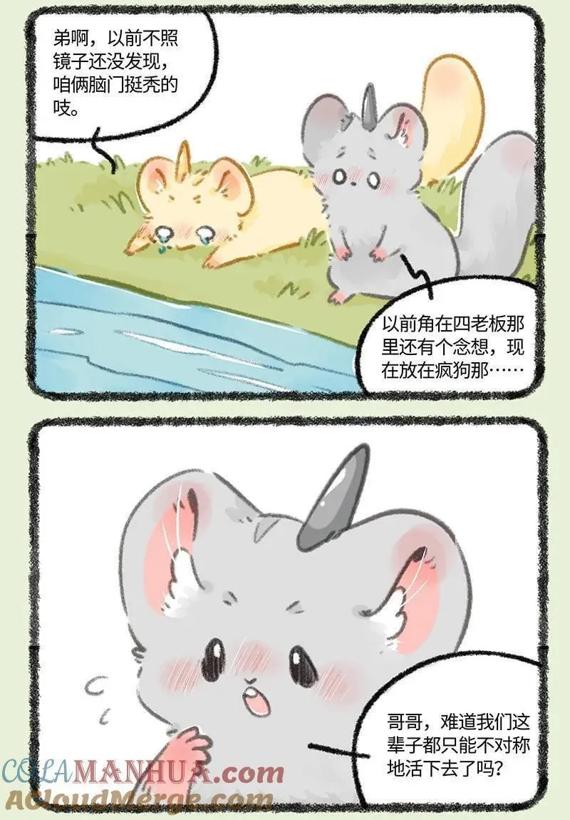 804 金角银角的自救0