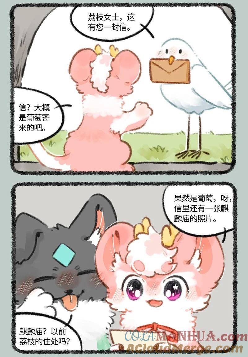 784 壮壮要建房0