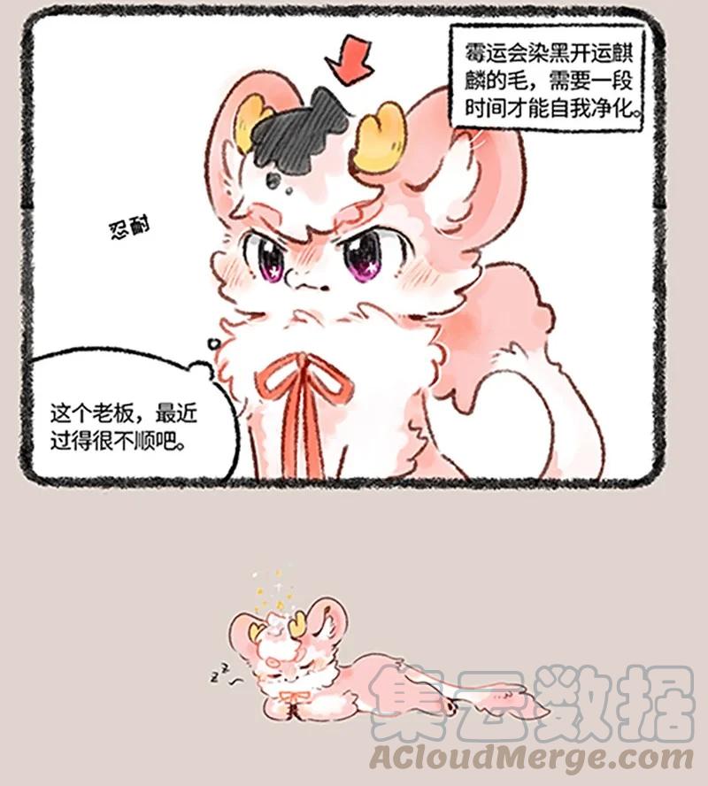 505 开运麒麟小荔枝3