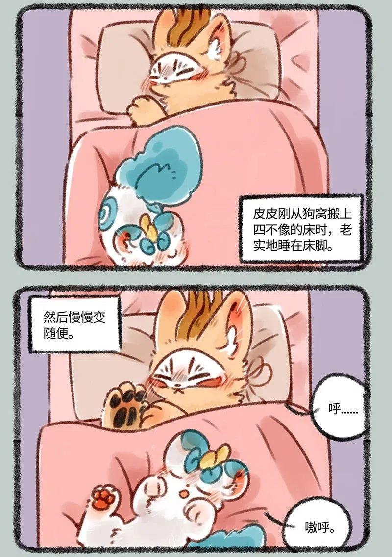 372 睡觉的位置2