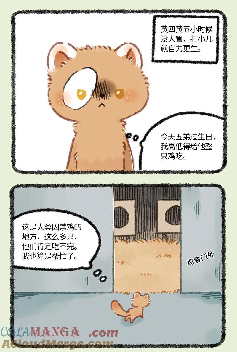 956 五弟，生日快乐1